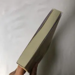 Thành Phố Của Những Chú Mèo Lạc - Tanya Lloyd Kyi 693523