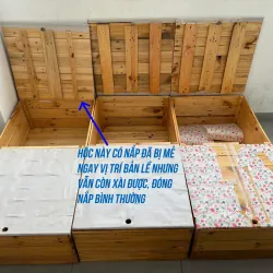 Giường kết hợp thùng để đồ - Gỗ thông pallet 1017813