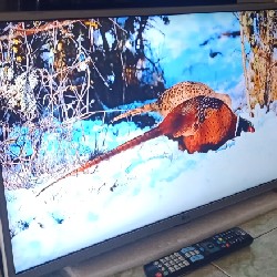 [Tivi  Smart LG 32" Full Phụ kiện Đẹp - Bền Lướt Mạng Rất Nhanh] 4682