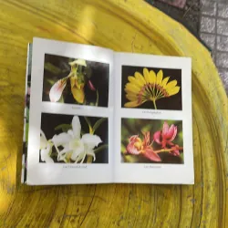 COMBO TRỒNG HOA CÂY CẢNH TRONG GIA ĐÌNH & KỸ THUẬT TRỒNG HOA LAN 929941