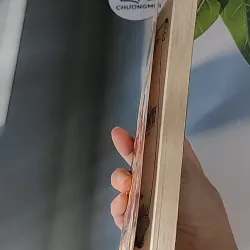 Vô Gia Đình (2001) - Hector Malot 607676