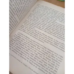 La géométrie des dieux - Djavad Tarjemanov 574732