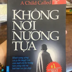 Không nơi nương tựa- Dave Pelzer 1005997