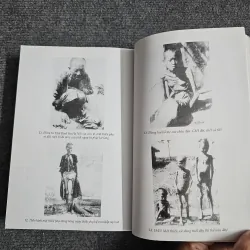 Nạn đói năm 1945 ở Việt Nam 1041763