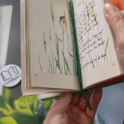 [MIỄN PHÍ BỌC SÁCH] Dế Mèn Phiêu Lưu Ký - Tô Hoài 990054