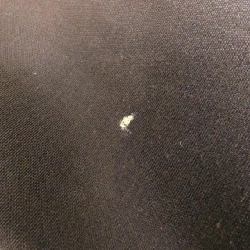 Gucci 278301 Túi đeo vai - Hàng hiệu Chính hãng 802679