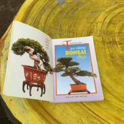 TẠO DÁNG BONSAI ĐẸP - THANH LOAN 759669