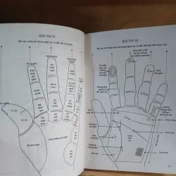 Tiếng Nói Của Bàn Tay (Sách Nghiên Cứu) - Nguyễn Đình Phúc 577466