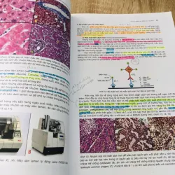 BÀI GIẢNG LÝ THUYẾT GIẢI PHẪU BỆNH  1004278