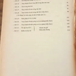 TIẾNG VIỆT 10 - NXB Giáo Dục 1993 747913