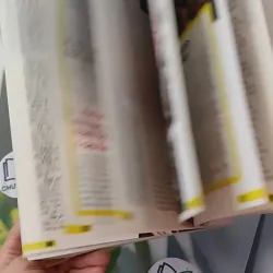 Hàn Quốc - Đi về phía bình minh - Hoa Học Trò 1018813