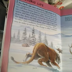 1000 + animal facts 969842