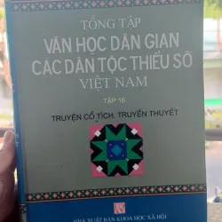 Tổng tập văn học dân gian các dân tộc thiểu số (tập 16)
