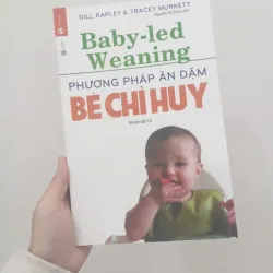 Phương pháp ăn dặm bé chỉ huy 970002