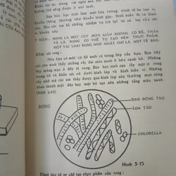 DẠY KHOA HỌC CĂN BẢN - RITA LANGLEY 735328