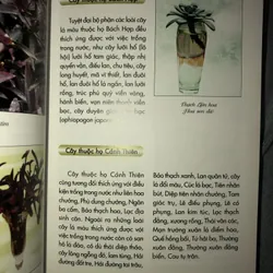 Kỹ thuật trồng hoa và cây lá trong nước 722961