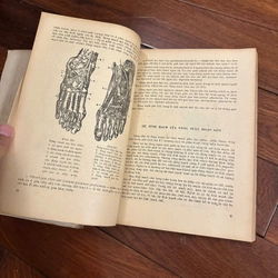 Giải phẫu người (trọn bộ 2 tập) 551684