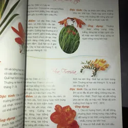 365 loài hoa cảnh  732810