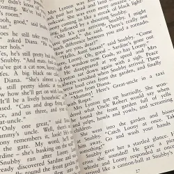 The Rilloby Fair Mystery 972085