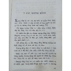 Nghệ thuật cây hoa - cây thế - cây cảnh - Như Mạo 1000795