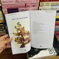 Giấc Mơ VIệt Nam Khát Vọng Tương Lai - Nguyễn Lý Trần Lê 680927