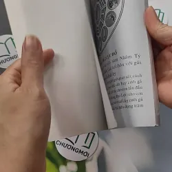 Cao Ly Đầu Hình 775958