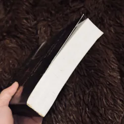 Trong những cánh rừng vĩnh cửu 974692