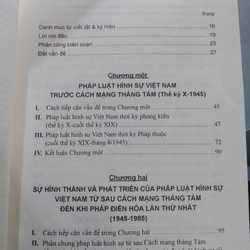 PHÁP LUẬT HÌNH SỰ VIỆT NAM TỪ THẾ KỶ X ĐẾN NAY (LỊCH SỬ VÀ THỰC TẠI)
 528070