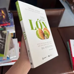 TIỀM NĂNG LỚN – Shawn Achor (Big Potential) - K3 1006577