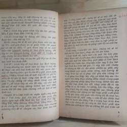 Loại Hình Các Ngôn Ngữ & Nghiên Cứu Về Chữ Nôm 736945