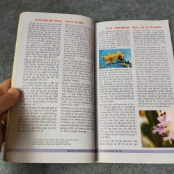 BÂNG KHUÂNG ĐÀ LẠT 718964