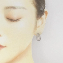 PT900/K14WG Bông tai - Hàng hiệu Chính hãng 871615