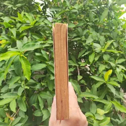 Những Quy Luật Chính Trị Trong Sử Việt - Vũ Tài Lục 561054
