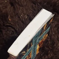 Bí ẩn tông đồ thứ 13  1001638