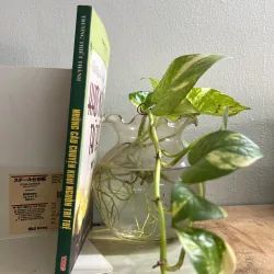 Khởi nguồn trí tuệ 751833