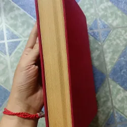Việt Nam văn học toàn thư - Hoàng Trọng Miên 1045083