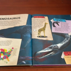 PICTURE BOOK Dinosaurs 534291