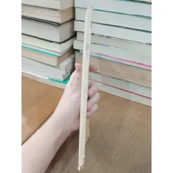 THƠ CHỮ HÁN HỒ CHÍ MINH ( NGOÀI NHẬT KÝ TRONG TÙ ) 181425