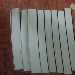 Lô sách fake phù hợp để đọc không thích hợp sưu tầm  522581
