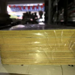 Bộ tứ kim cương - Mizushiro Setona 783763