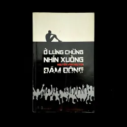 Ở Lưng Chừng Nhìn Xuống Đám Đông - Nguyễn Vĩnh Nguyên 