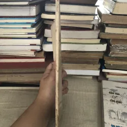 Liên Hoa Nguyệt San 995121