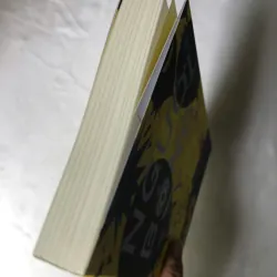 Người Bóng Bay - Chan Ho Kei 1022846