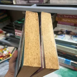 Thiên thần sa ngã - Chi Chan 961659