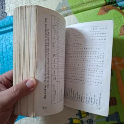 555 Món Ăn Việt Nam 973505