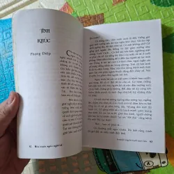 Mùa Xuân Ngốc Nghếch 999021