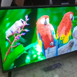 [[Tivi Siêu Mỏng 39" LG -  Full HD & Đầy đủ Phụ Kiện] Thanh lý 18624