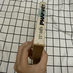 Từ điển Pháp - Việt 597010