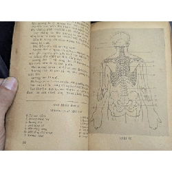 Giải phẫu tạo hình - Lương Xuân Nhị