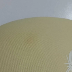 Áo Lót Nữ Đúc Su Lông Vũ Không Gọng Đệm Dày Bàn Tay 506361